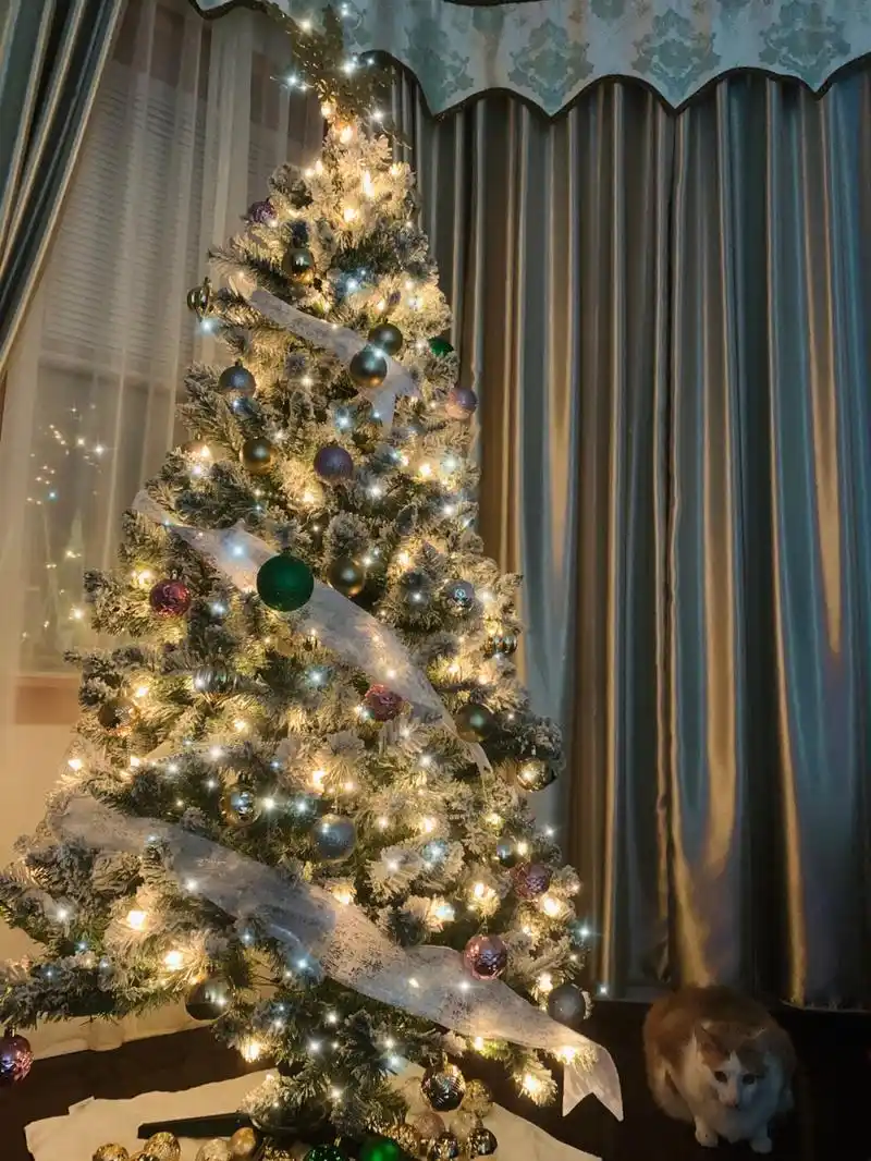 Christmas tree with a cat under it