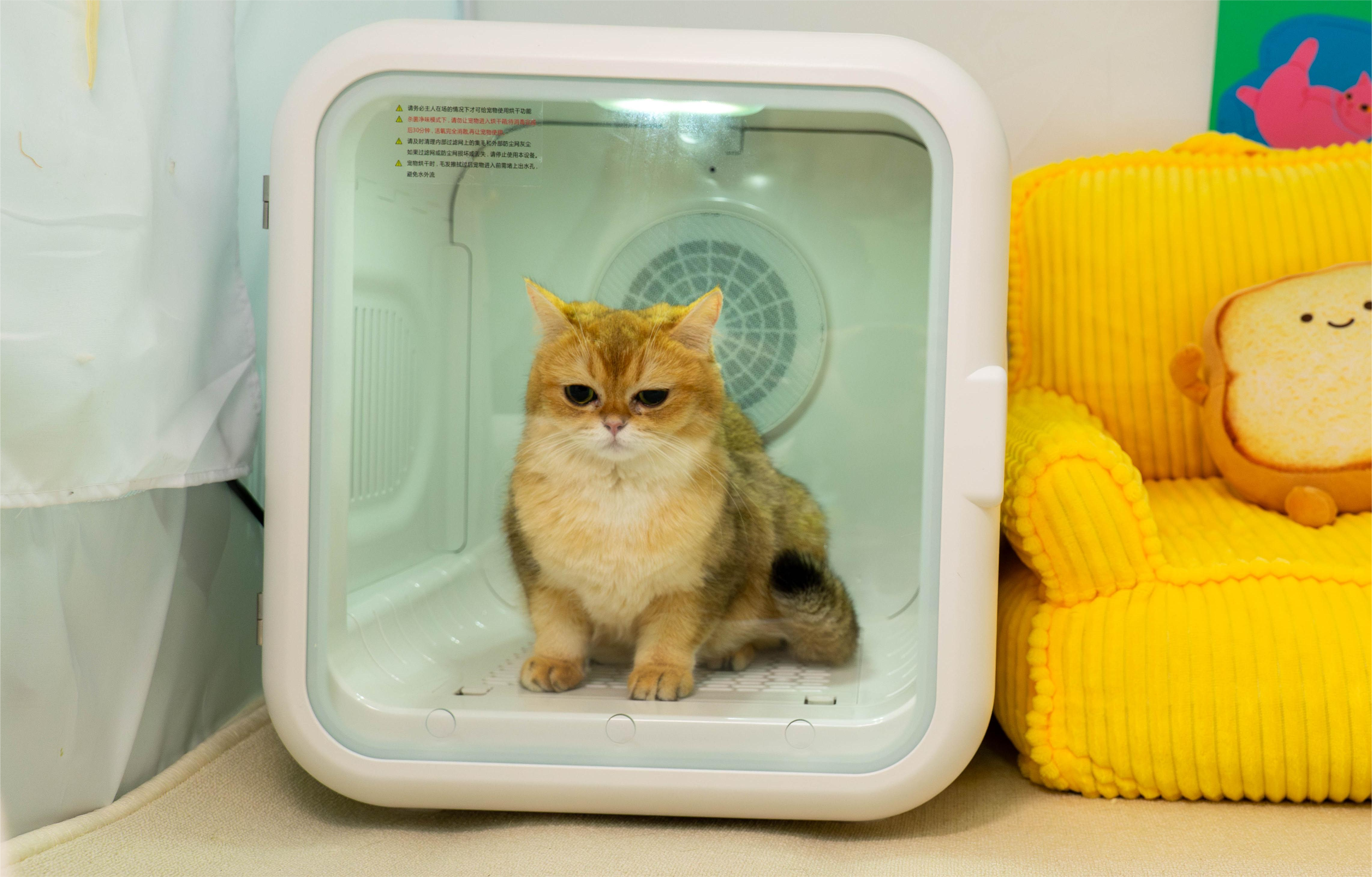 The dryer box is quiet and comfortable enough to reduce pet's anxiety