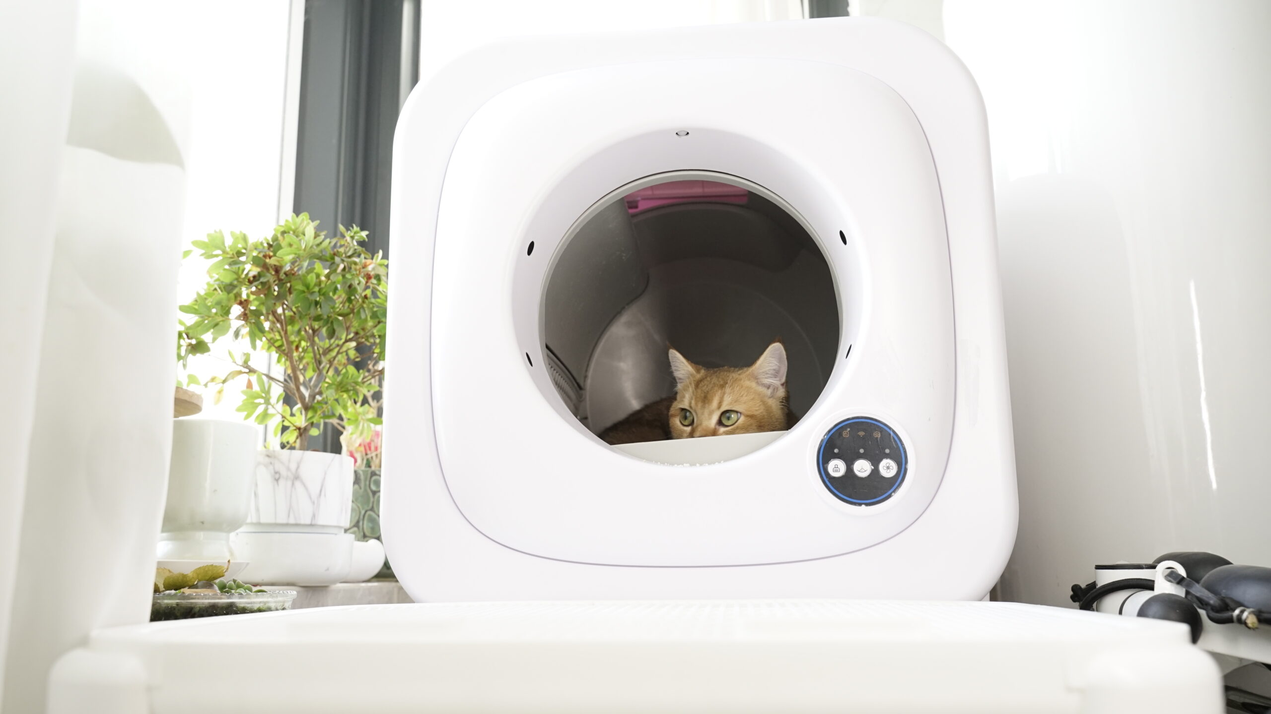 Beardpet's Automatic Litter Box LB-01