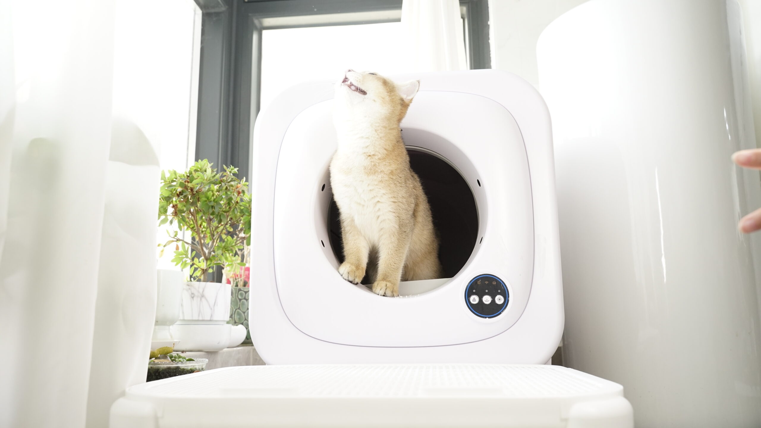 The smart litter box can create a healthier environment for cats
