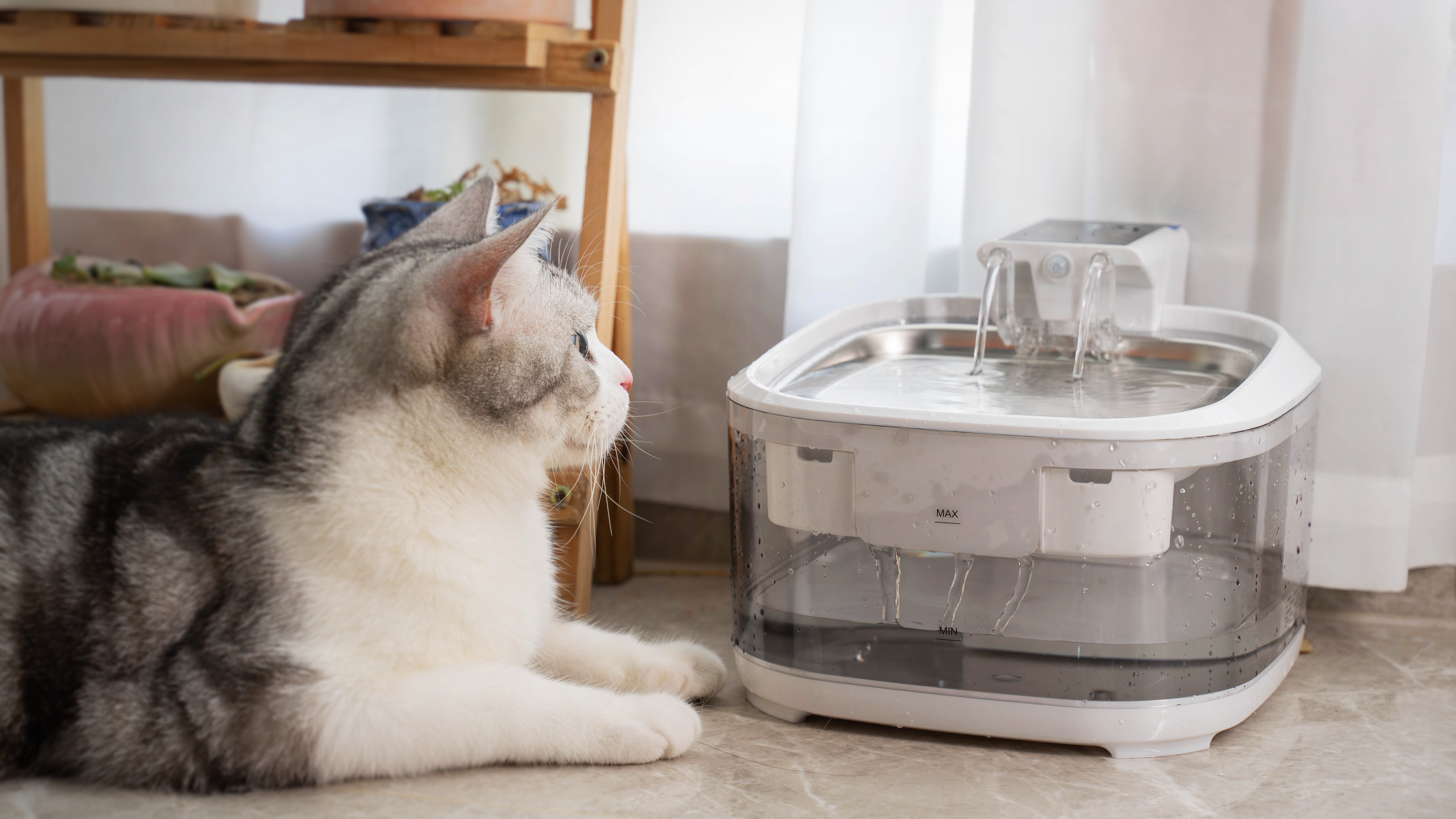 4.5L Wireless Cat Water Fountain with LED Light FT-01