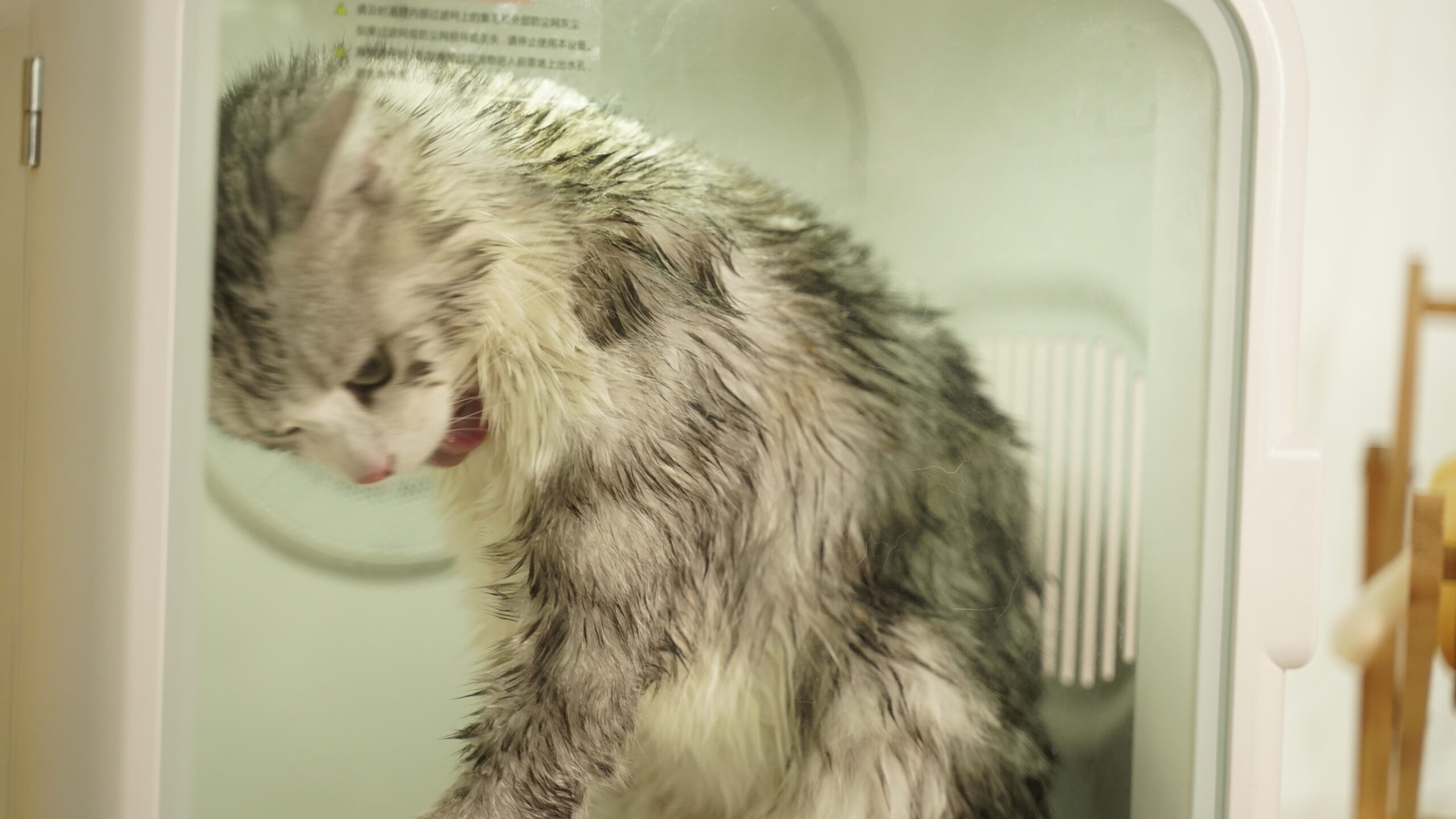 The pet dryer box drys pet thoroughly and prevents cats from skin infection caused by wet fur