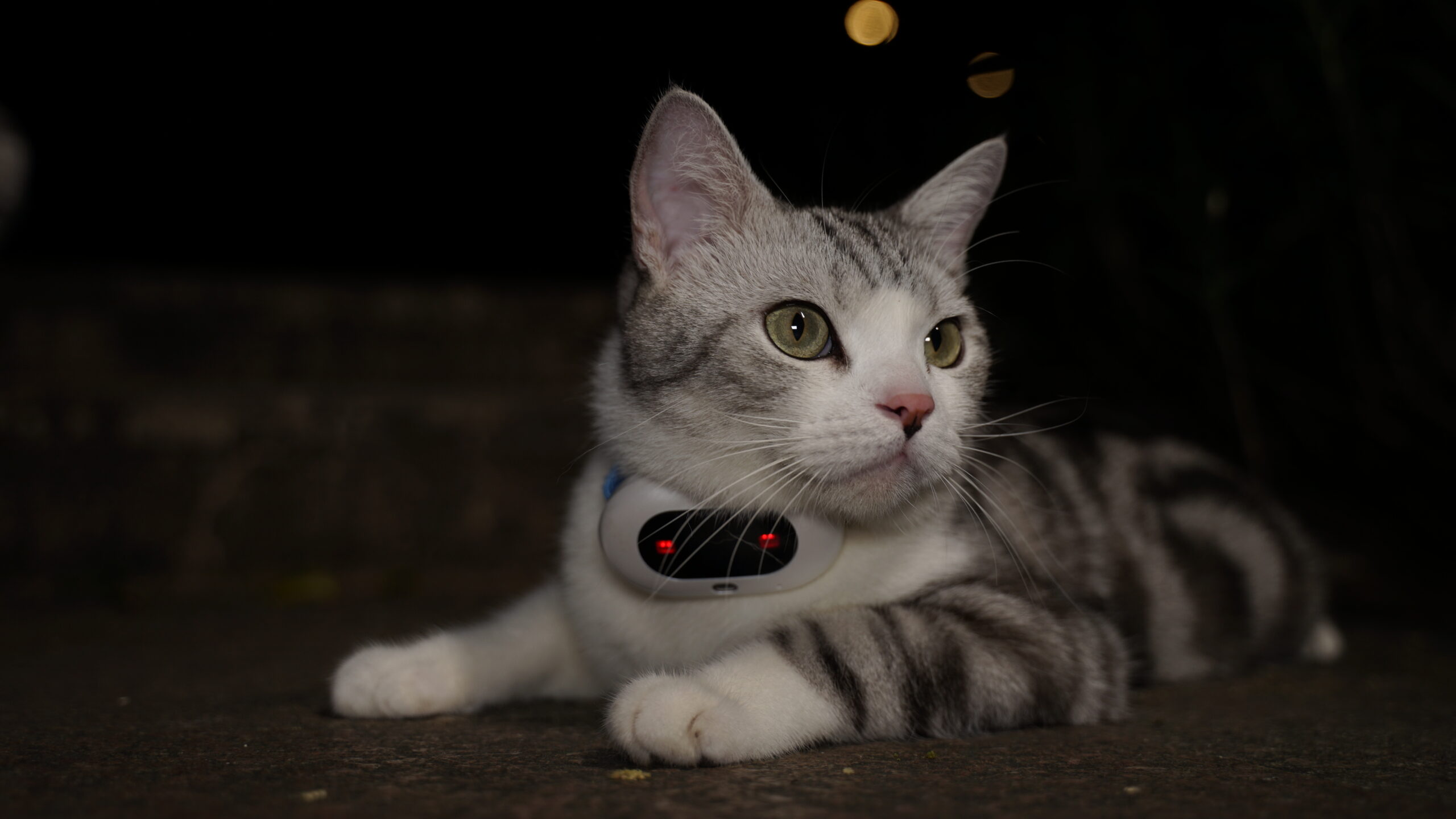strong GPS signal will use less battery power