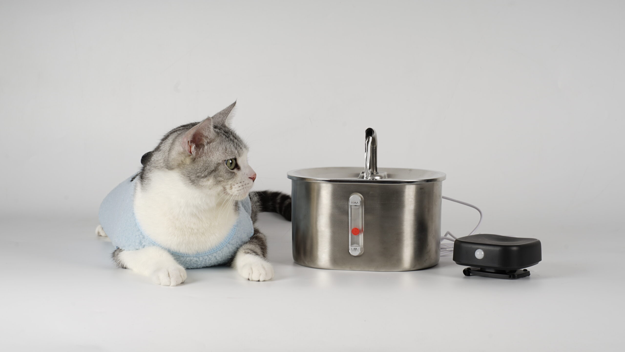 Beardpet's Stainless Steel Cat Drinking Fountain FT-06