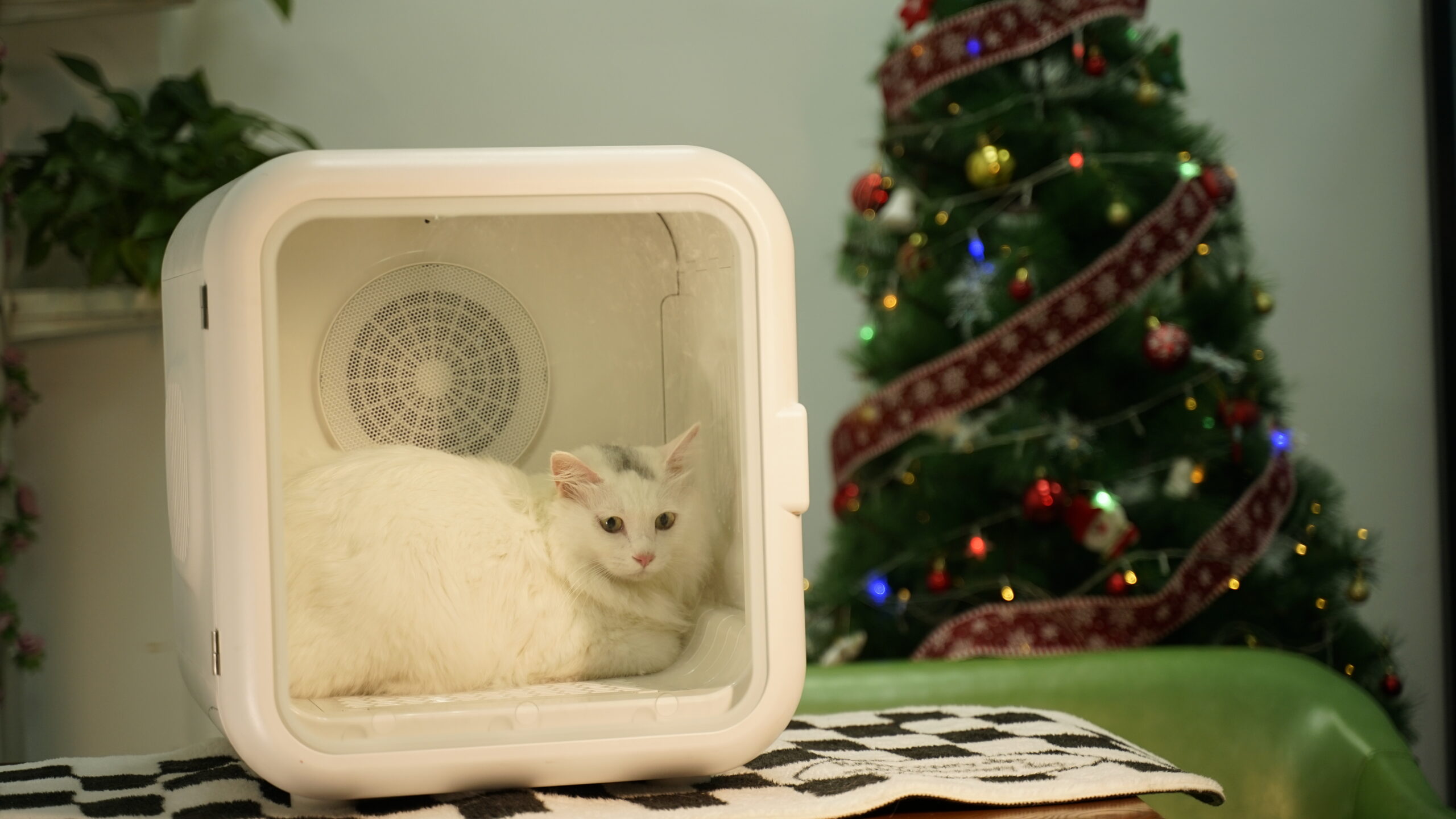 Beardpet's Pet Dryer Box