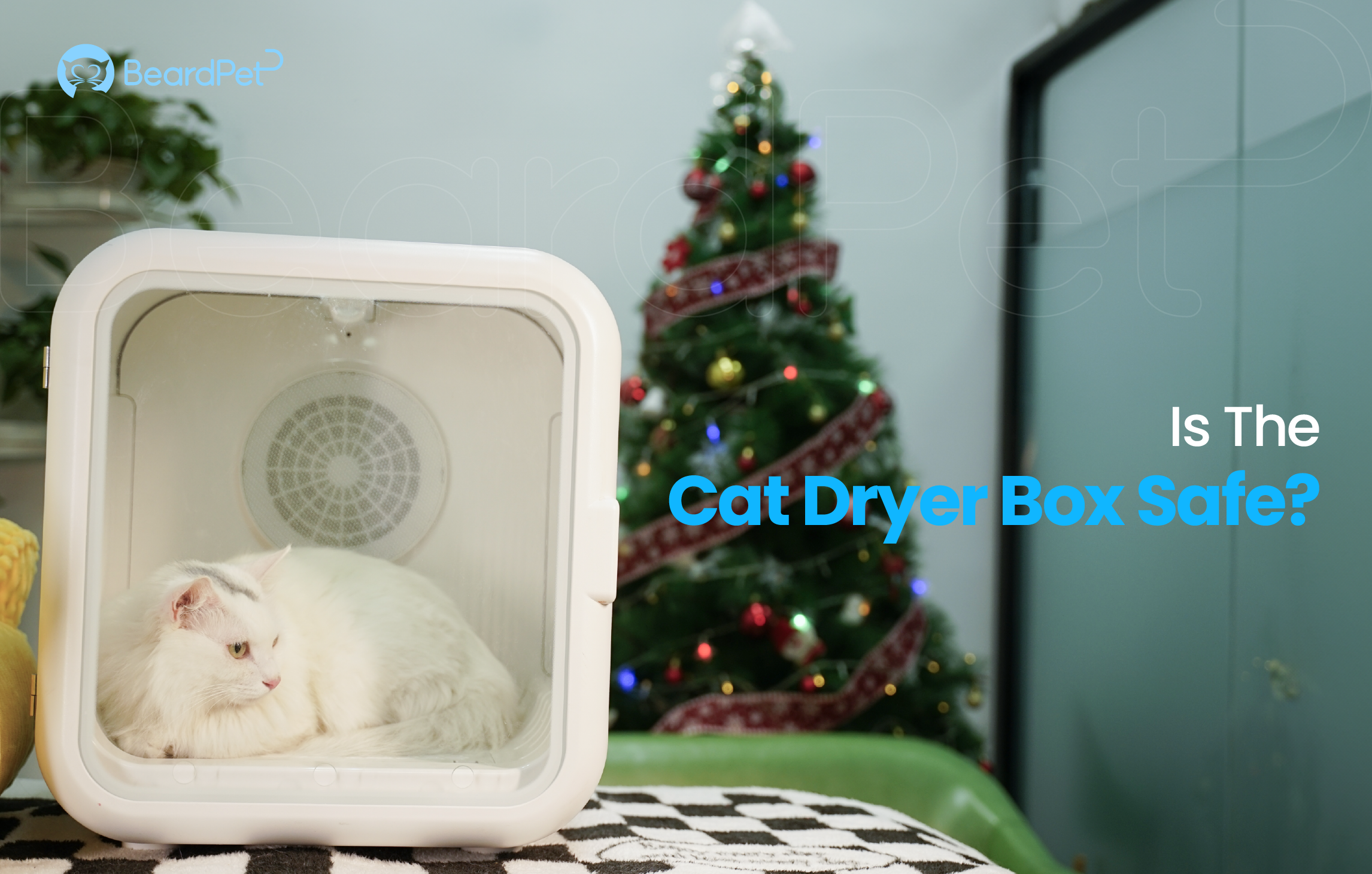Is the Cat Dryer Box Safe?