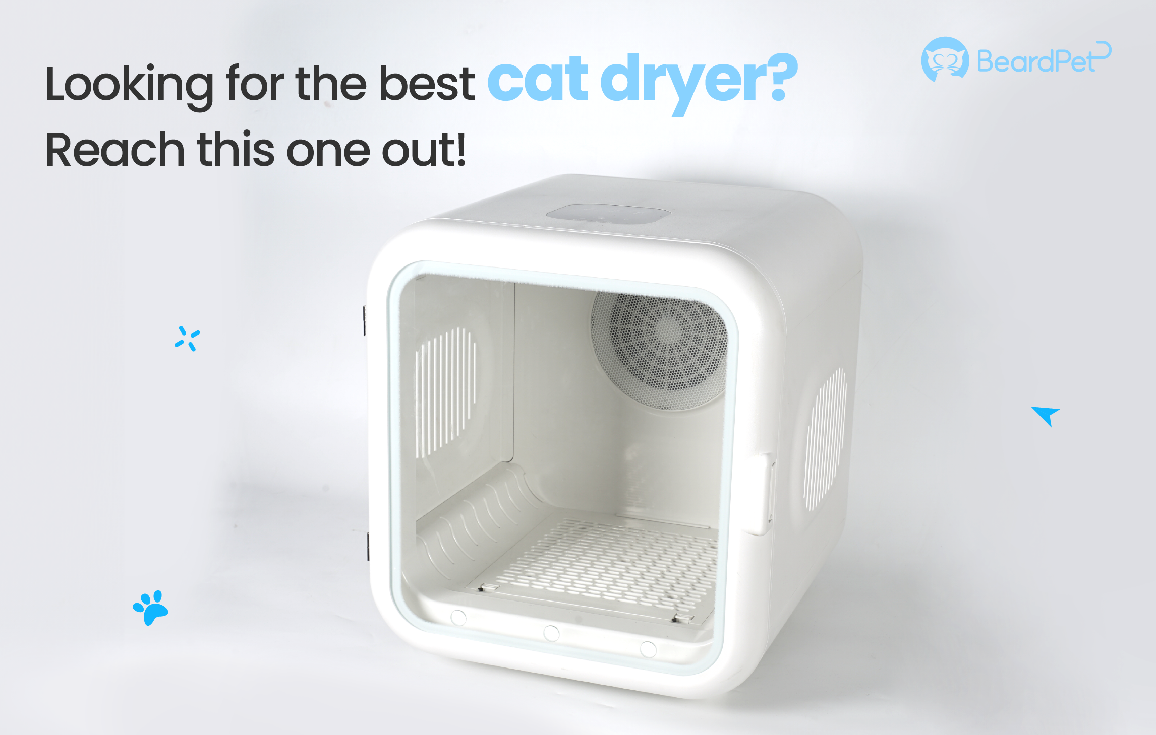 Looking for The Best Cat Dryer? Reach This One Out! 