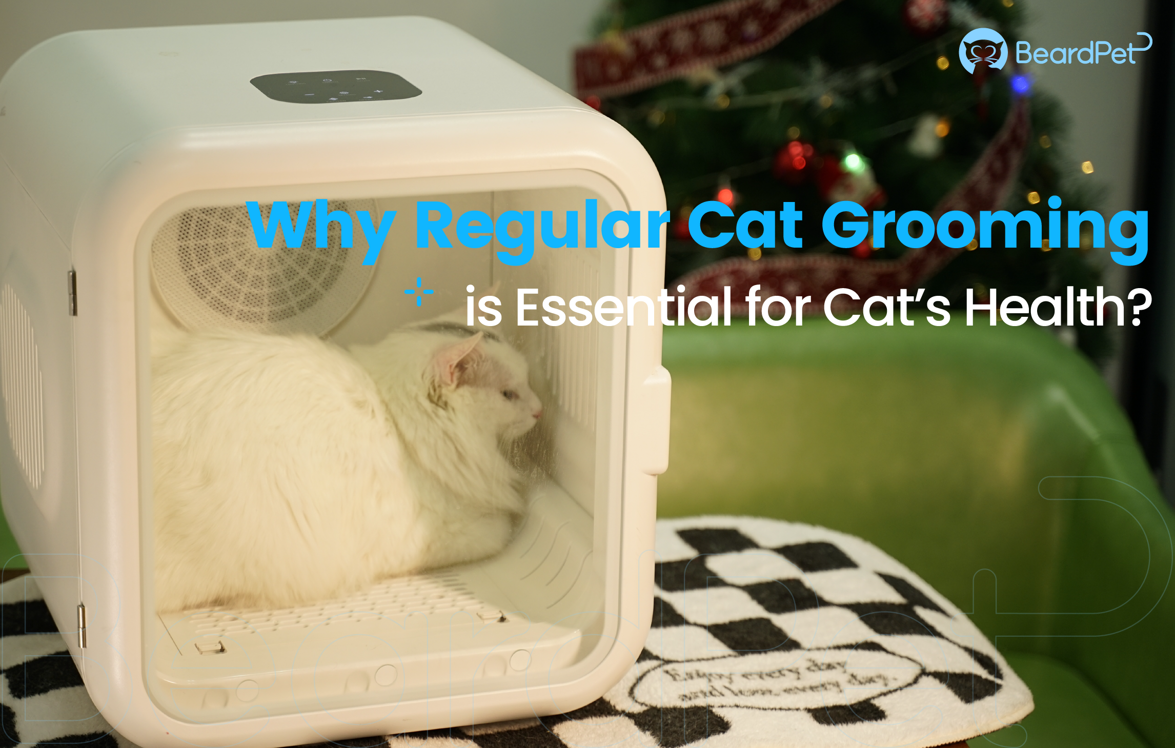 Why Regular Cat Grooming is Essential for Cat’s Health?