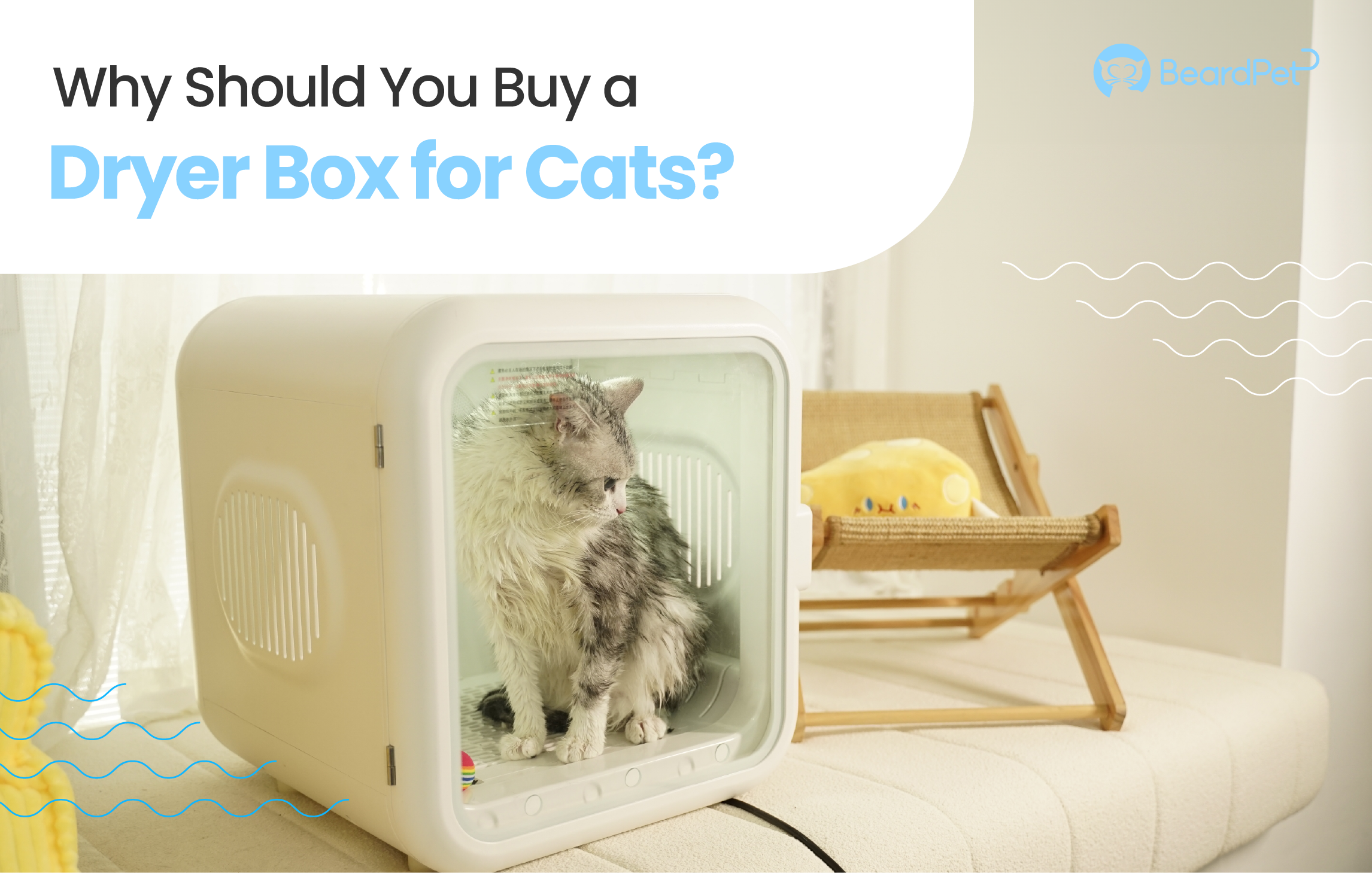 Why Should You Buy a Dryer Box for Cats?