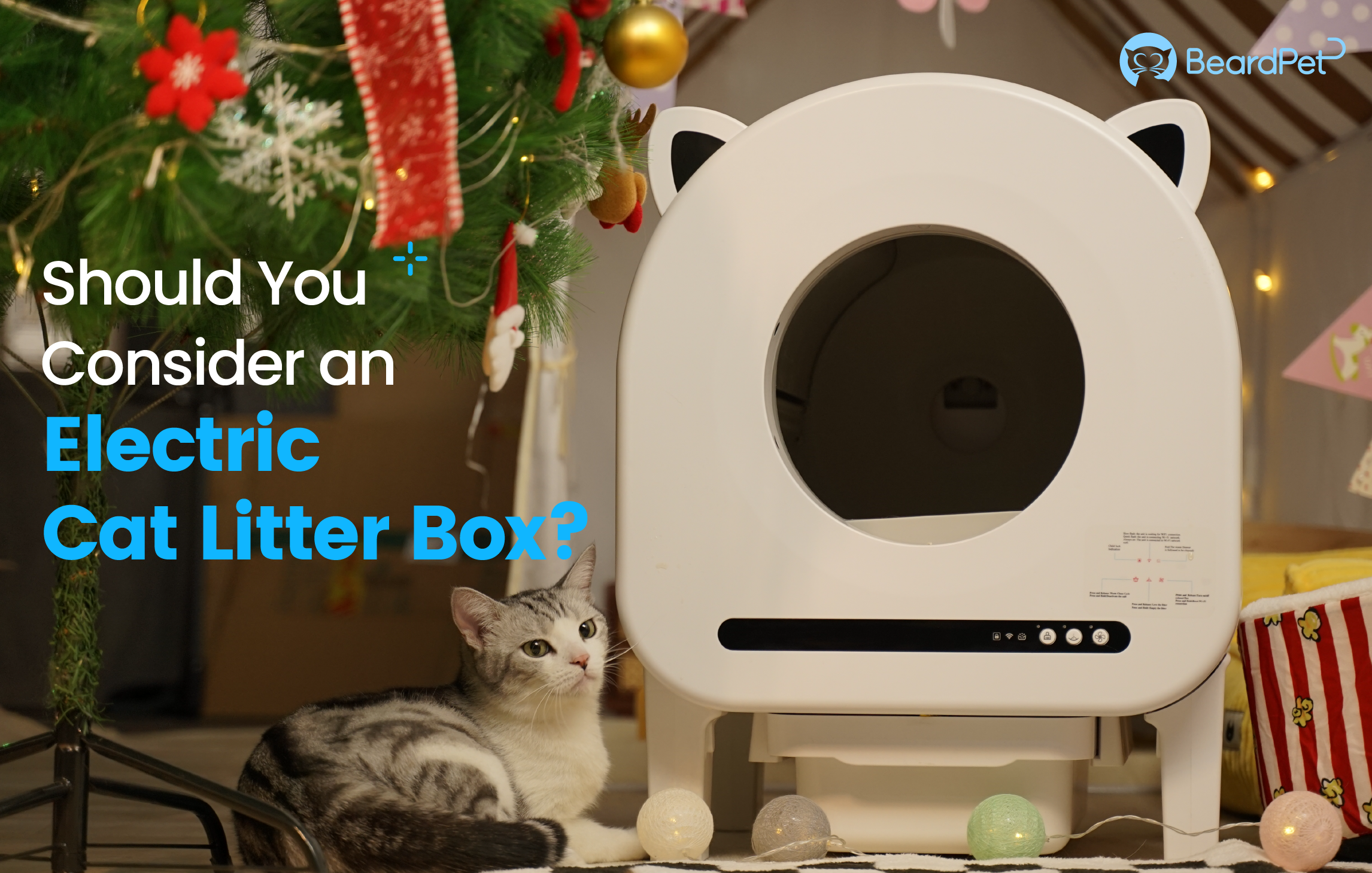 Should You Consider an Electric Cat Litter Box?
