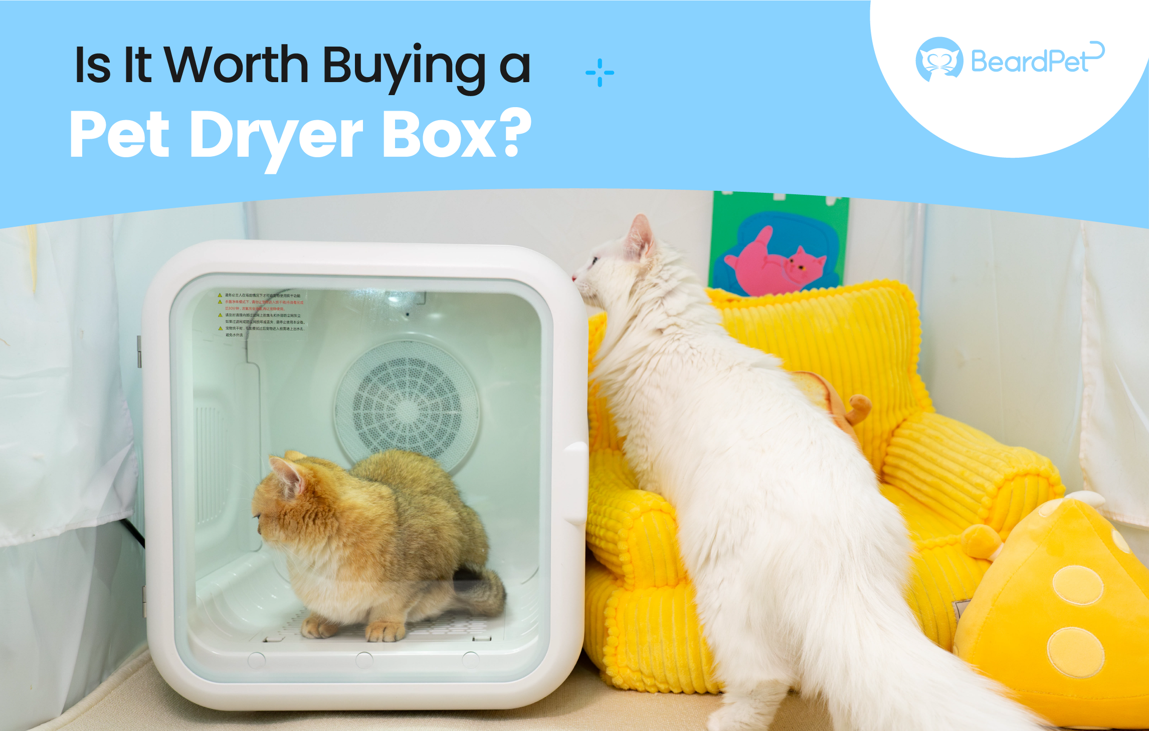 Is It Worth Buying a Pet Dryer Box?