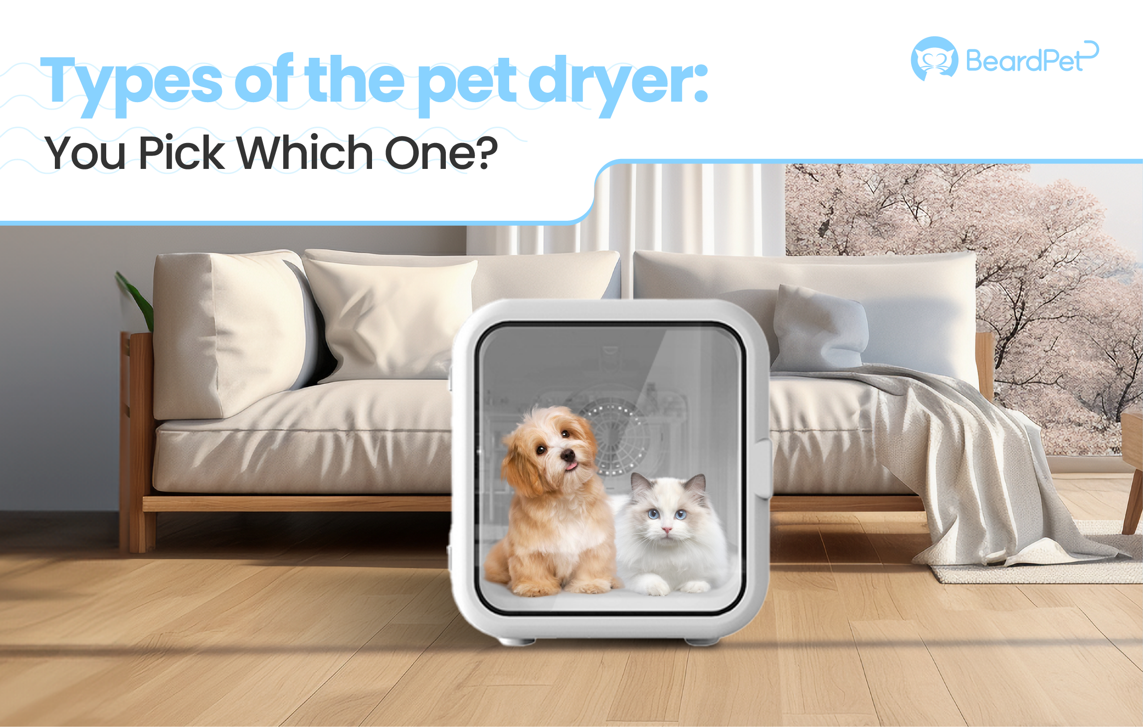 Types of the Pet Dryer: You Pick Which One?