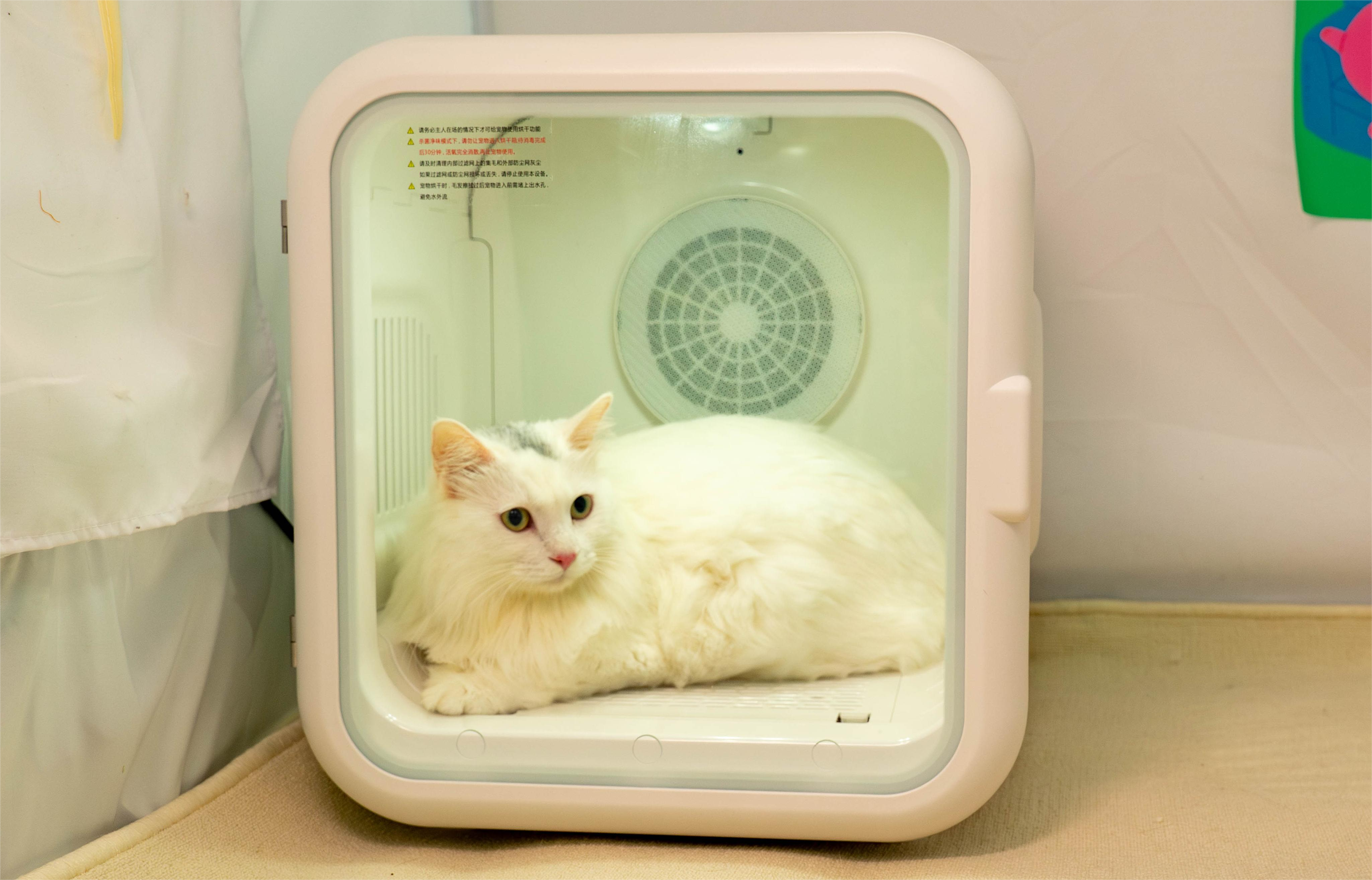Beardpet's pet drying box with a U-shaped air system