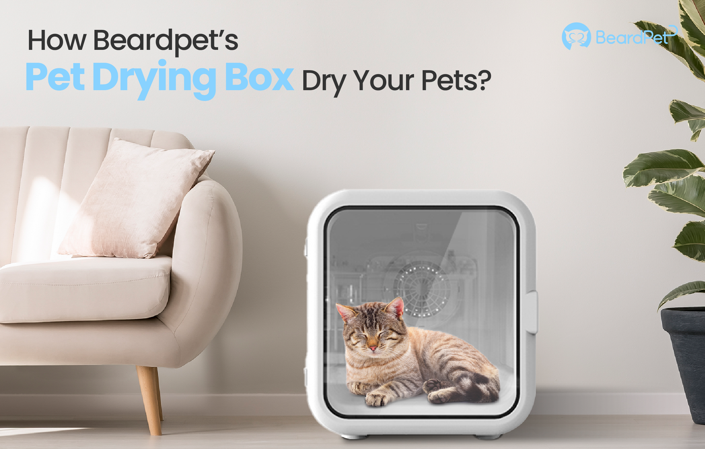How Beardpet’s Pet Drying Box Dry Your Pets?