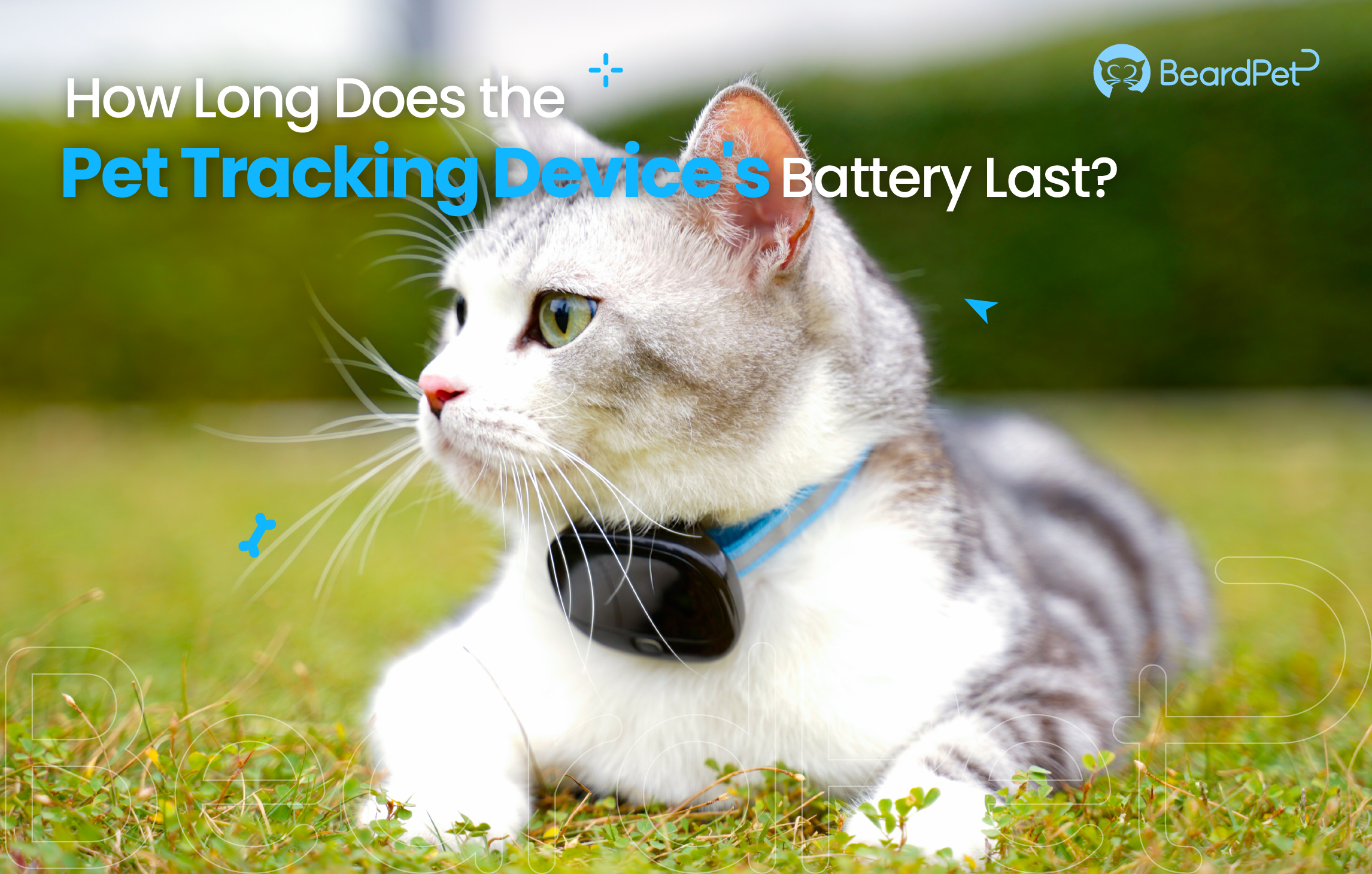 How Long Does the Pet Tracking Device's Battery Last?