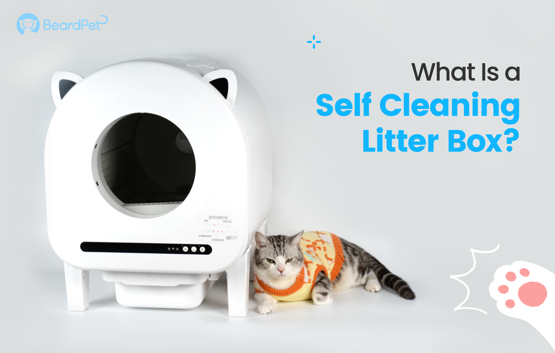 What Is a Self Cleaning Litter Box?