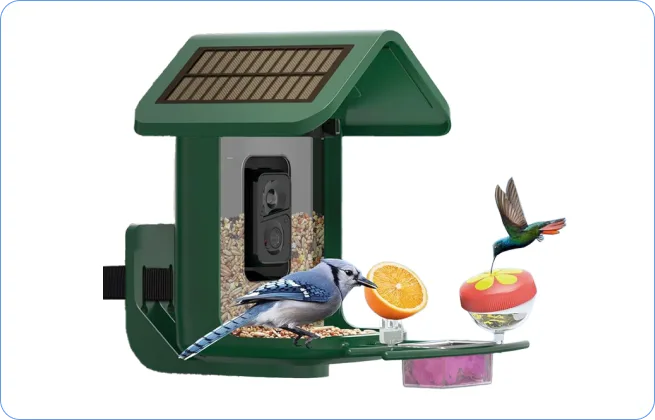 camera bird feeder version A