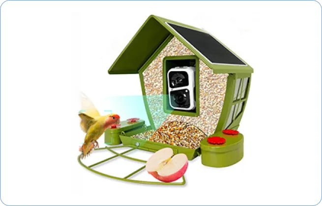 camera bird feeder version B
