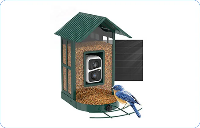 camera bird feeder version C