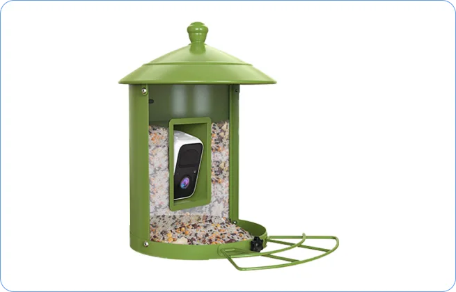 camera bird feeder version D