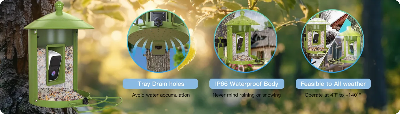 camera bird feeder with IP66 waterproof body and drain holes
