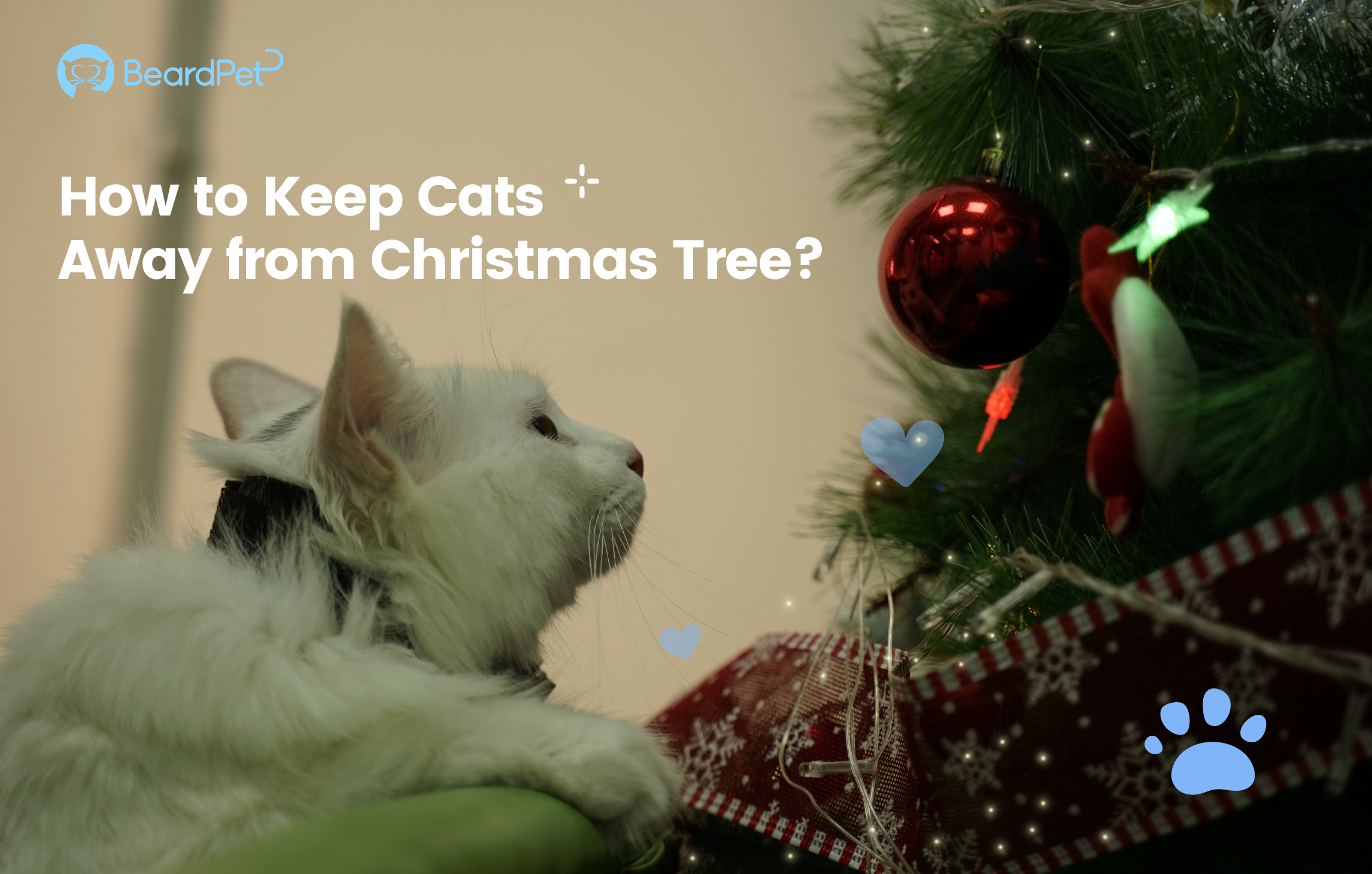 How to Keep Cats Away from Christmas Tree?