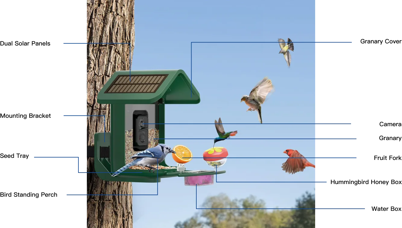 product details of camera bird feeder bf-03