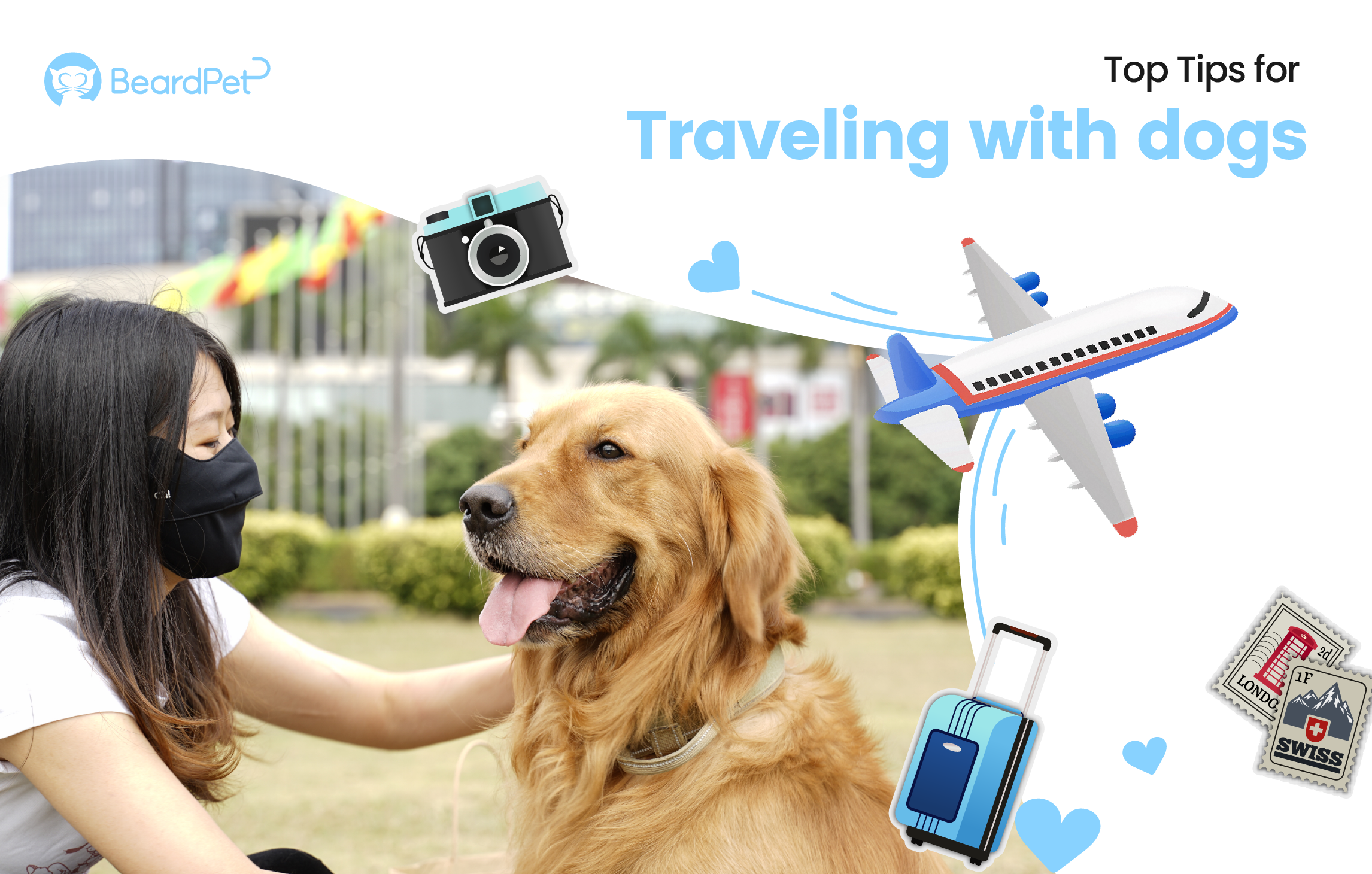 Top Tips for Traveling with Dogs