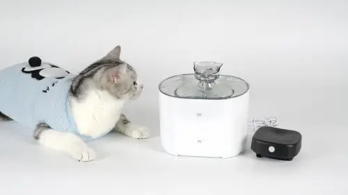 2020 new style cat litter box Iris, Premium Top Entry Cat Litter Box with Scoop