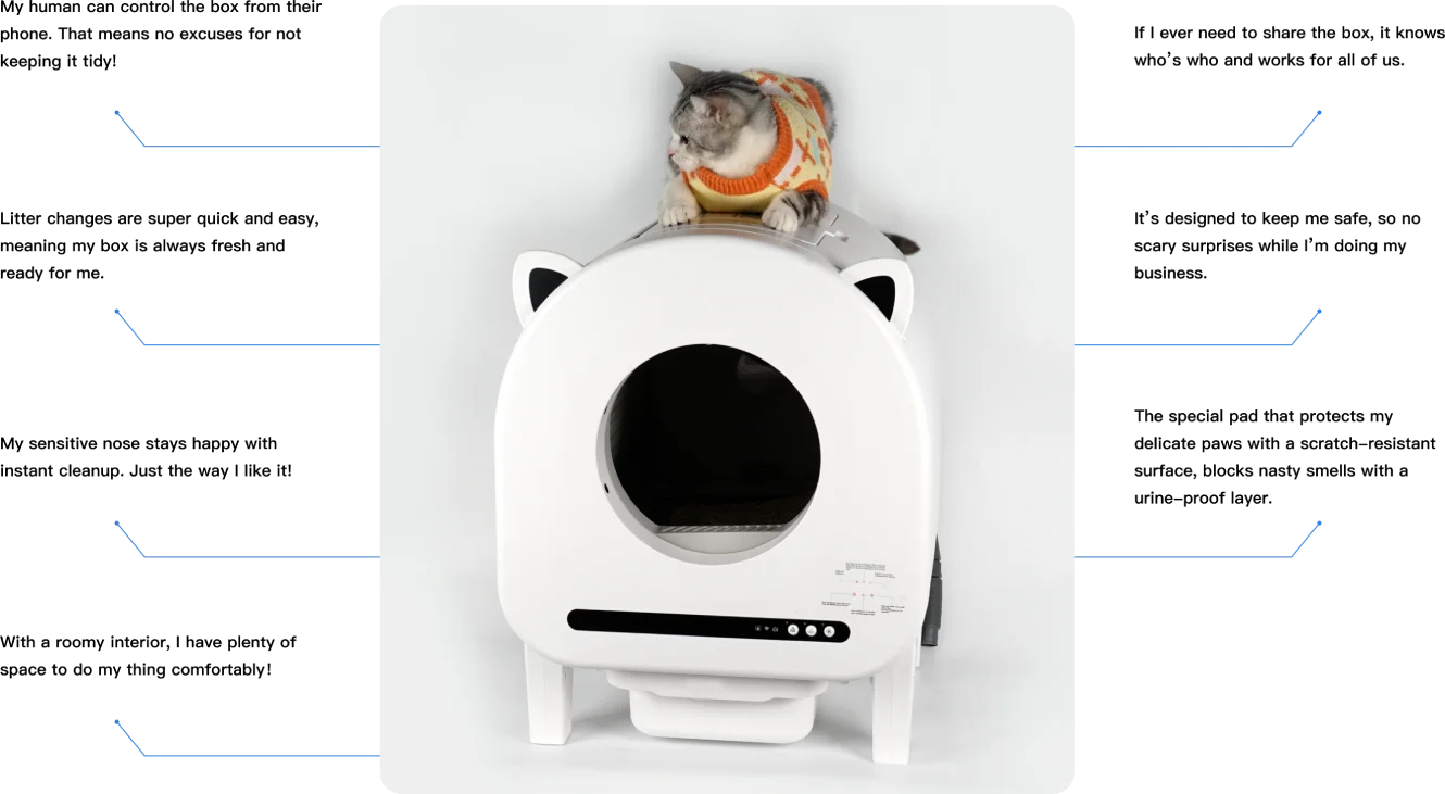 Benefits of Self Clean Litter Box