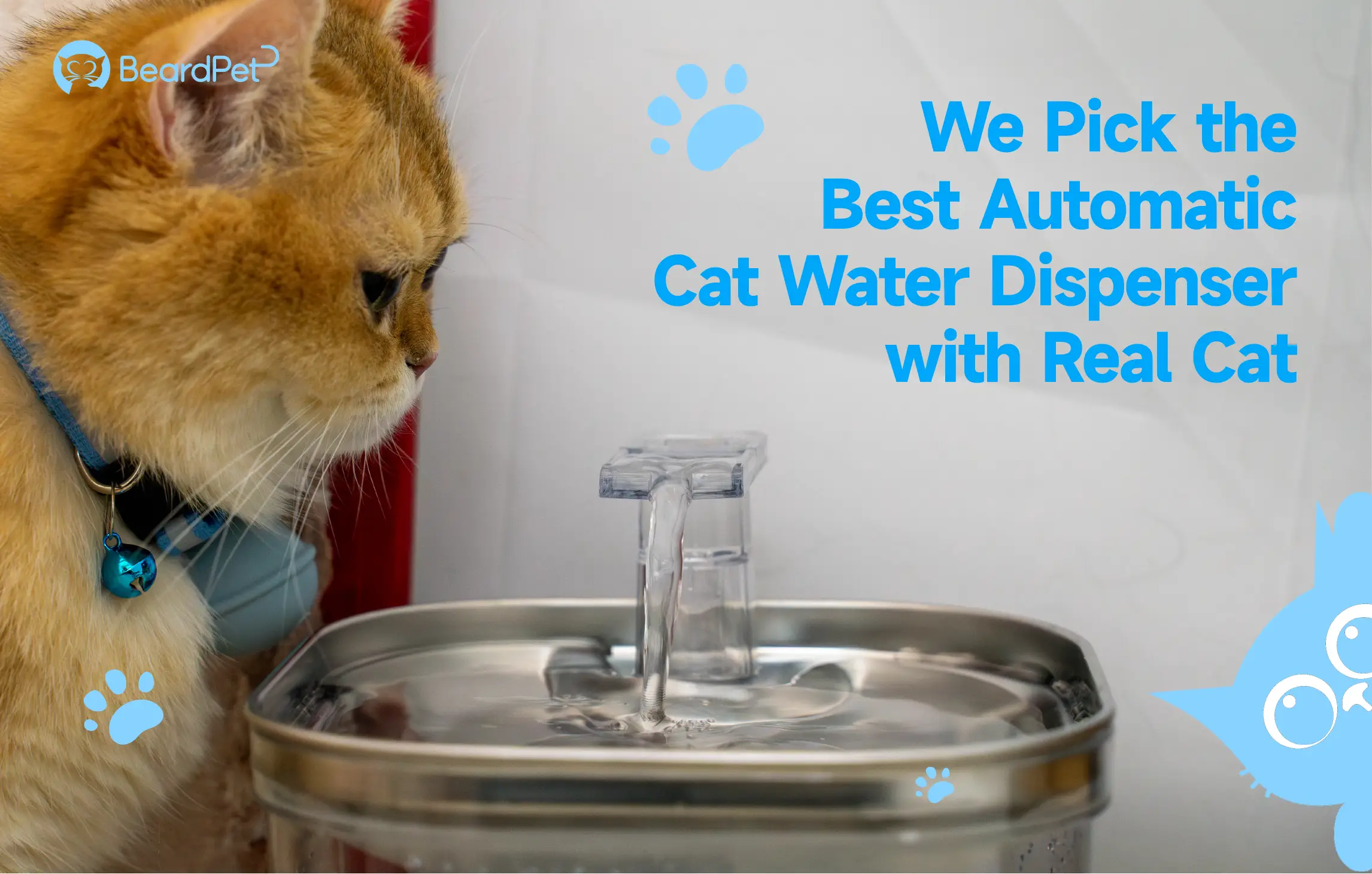 We Pick the Best Automatic Cat Water Dispenser with Real Cat