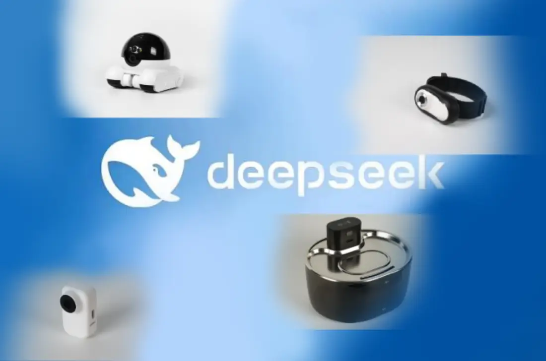 deepseek pet device