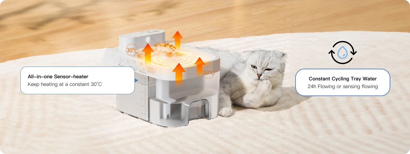 sensor-heater and water cycling of cat water fountain without filter