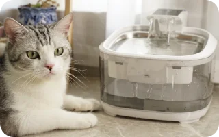 high tech pet product 1