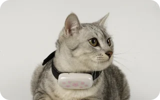 high tech pet product 2
