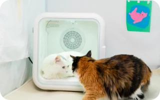 high tech pet product 5