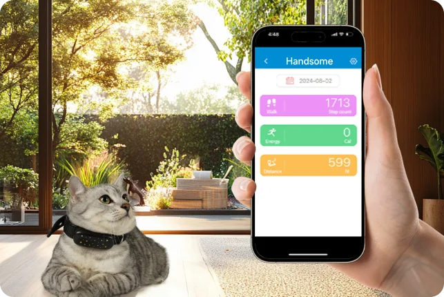 pet GPS tracker can track and plan pet's excercise