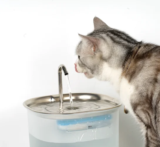Beardpet's pumpless cat water fountain FT-13 - ODM&OEM Smart Pet Products  Manufacturer